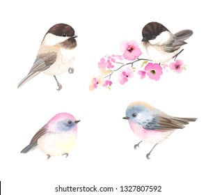 Collection small cute birds in vintage watercolor style. Vector illustration with colorful flowers on branches tree.