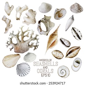 Collection of  small watercolor seashells and corals. Vector sea and ocean design elements isolated on white background