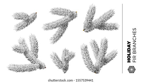 Collection of small white fir tree branches for Christmas or New Year holidays greeting card and ornament