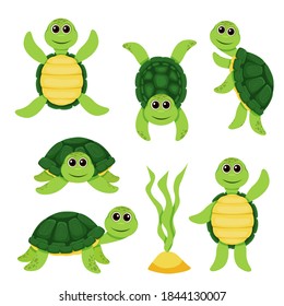 Collection of smiling and cute green turtle characters. Little turtles, walking and swimming turtle animals. Cartoon characters  baby turtles, cute wildlife animals in shell. Vector illustration