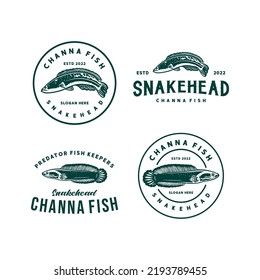Collection of Snake head fish emblem logo. channa fish logo design template