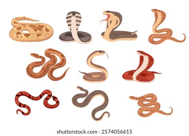 Collection of snakes in different poses and colors, including coiled and slithering positions. Cartoon animal design. Vector illustration isolated on white background