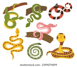 Collection Of Snakes, Showcasing Vibrant Scales And Intricate Patterns. From Slithering Serpents To Coiled Wonders, Each Creature Embodies Nature Fascinating Beauty And Enigmatic Allure. Vector Set