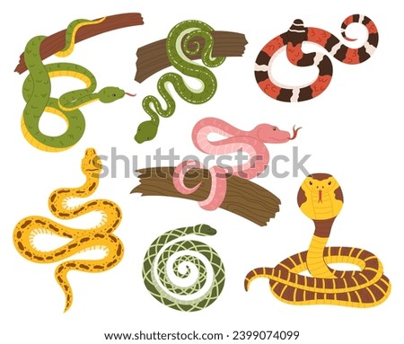Collection Of Snakes, Showcasing Vibrant Scales And Intricate Patterns. From Slithering Serpents To Coiled Wonders, Each Creature Embodies Nature Fascinating Beauty And Enigmatic Allure. Vector Set