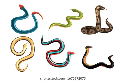Collection of Snakes, Venomous Snake Creatures of Different Colors Vector Illustration