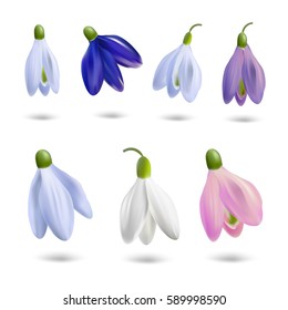 Collection of snowdrops buds photo realistic vector illustration