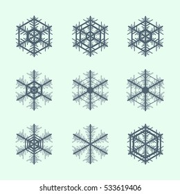 Collection of snowflakes. Winter decorative element.