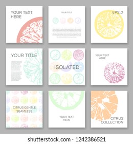 Collection of soft citrus templates. Include isolated recolored citrus clices set and citrus seamless.