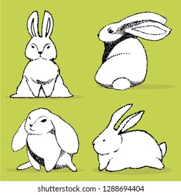 Collection of some cute rabbits, hand draw illustration. Draw vector illustration set character design of cute rabbit.