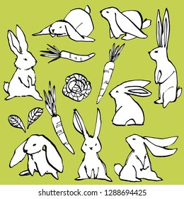 Collection of some cute rabbits, hand draw illustration. Draw vector illustration set character design of cute rabbit.