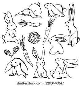Collection of some cute rabbits, hand draw illustration. Draw vector illustration set character design of cute rabbit.