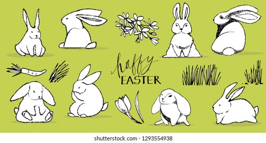 Collection of some cute rabbits, hand draw illustration. Draw vector illustration set character design of cute rabbit.