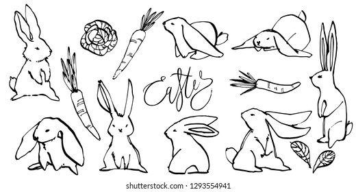 Collection of some cute rabbits, hand draw illustration. Draw vector illustration set character design of cute rabbit.