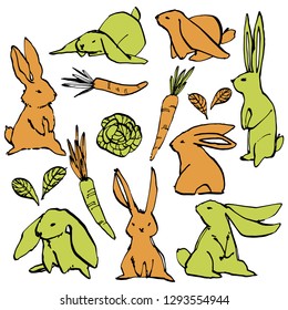 Collection of some cute rabbits, hand draw illustration. Draw vector illustration set character design of cute rabbit.