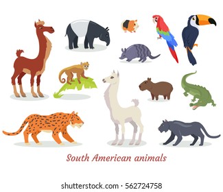 Collection of South American wild animals cartoon characters. Multicolor predators, herbivores and birds icons isolated on white background. Vector illustration set of South America fauna species