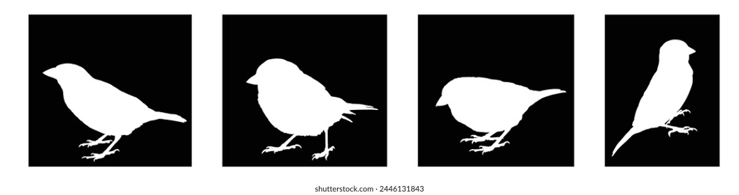 Collection of Sparrow bird vector silhouette illustration isolated on black background. Little city bird shape portrait. Sparrow shadow.