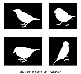 Collection of Sparrow bird vector silhouette illustration isolated on black background. Little city bird shape portrait. Sparrow shadow.