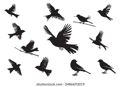 Collection of sparrow birds flying flock vector