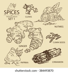 Collection of spices: ginger, cinnamon, cloves, cumin seeds, nutmeg, paprika. hand drawn