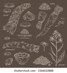 Collection of spices and herbs: wasabi root, daikon root, mustard, horsradiah. Vector hand drawn illustration.