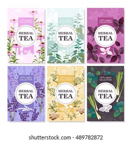 Collection of spices and meadow flowers for organic tea colored cards with title vector illustration