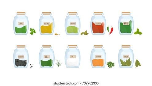 Collection of spices stored in clear closed jars isolated on white background. Bundle of spicy condiments, piquant cooking ingredients in transparent kitchen containers. Colorful vector illustration.