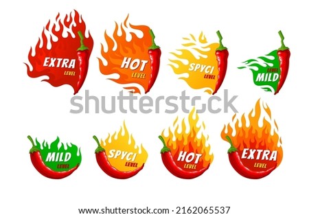 Collection spicy level of pepper with burning fire stickers vector flat illustration. Set spice seasonings scale mild, medium, hot and extra badges. Restaurant menu flavor paprika taste indicator