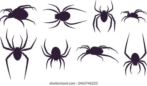 collection of spider black silhouettes. vector illustration