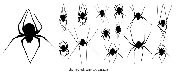 Collection of Spider, cobweb, isolated on black, transparent background. Spiderweb for Halloween design. Spider web elements,spooky, scary, horror halloween decor. Hand drawn silhouette, vector illust