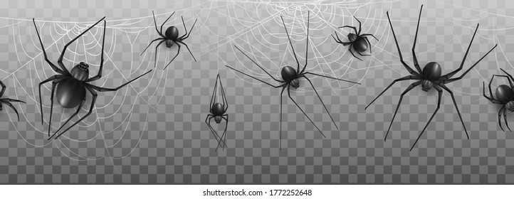 Collection of Spider, cobweb, isolated on black, transparent background. Spiderweb for Halloween design. Spider web elements,spooky, scary, horror halloween decor. Hand drawn silhouette, vector illust