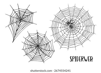 Colección de ilustraciones de esbozo de Web de araña. Elementos de Halloween, arte de línea de Vector dibujado a mano con telaraña. Dibujos en estilo de grabado