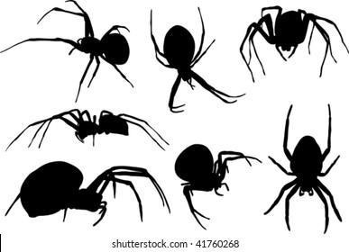 collection of spiders