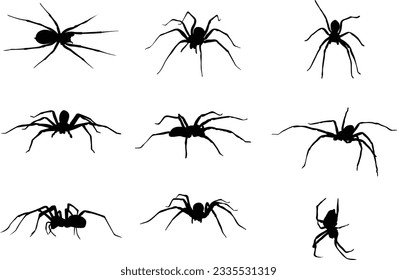 A collection of spiders in various positions