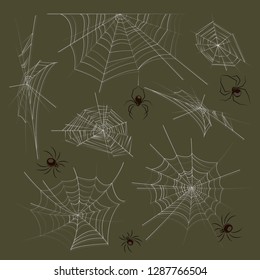 Collection of spiders and webs