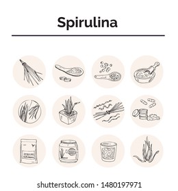 Collection of spirulina: spirulina algae, pills and spirulina powder. Superfood hand drawn doodle set. Vector illustration. Isolated elements on chalkboard background. Symbol collection.