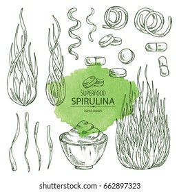 Collection of  spirulina: spirulina algae, pills and spirulina powder. Superfood. Vector hand drawn illustration