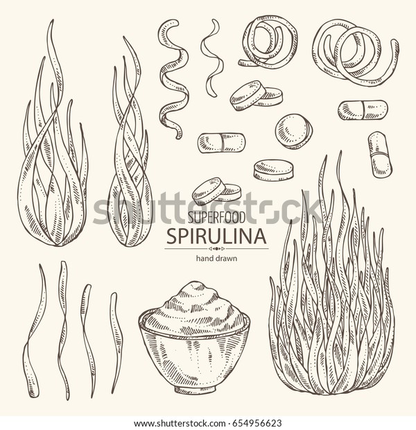 Collection of \
spirulina: spirulina algae, pills and spirulina powder. Superfood.\
Vector hand drawn\
illustration.