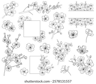 Collection of spring cherry blossom flowers, branches and frames, hand drawn botanical line drawing, vector floral line art illustration for wedding, logo, advertising, packaging