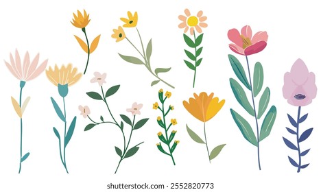 Collection of spring colorful bouquet flower elements vector. Set Botanical floral of wild flower, leaf branch, foliage on white background.
