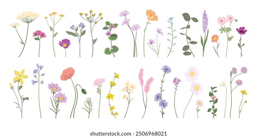 Colección de Elementos de flores de colores de primavera Vector. Conjunto floral de flores silvestres, rama de hoja, follaje sobre fondo blanco. Dibujado a mano ilustración de la flor para la decoración, Pascua, acción de gracias, Clipart.