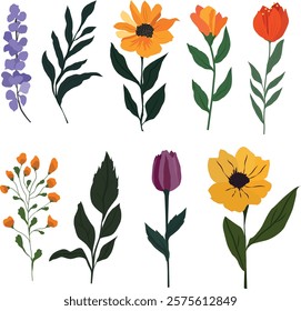 Collection of spring colorful flower elements vector. Set floral of wildflower, leaf branch, foliage on white background. Hand drawn blossom illustration for decor, easter, sticker, clipart, print.
