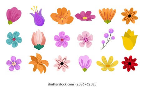 Collection of spring colorful flower elements vector. Set floral of wildflower, leaf branch, foliage on white background. Hand drawn blossom illustration for decor, easter, thanksgiving, flat style. 