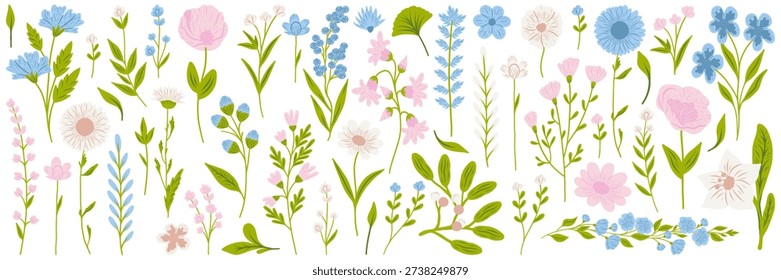 Collection spring colorful flower