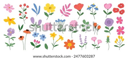 Similar – Image, Stock Photo flower meadow flowers