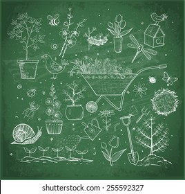 Collection of spring doodle sketch elements on green chalkboard: flowers, gardener's tool, bugs, spring trees, bird's nests with eggs.