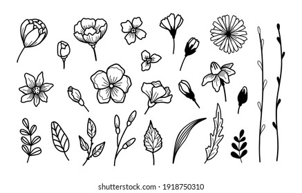 Simple Flower Outline Black And White - Eric and Halli