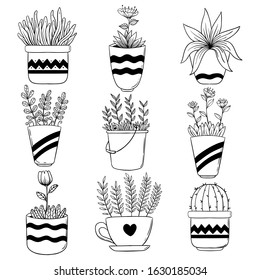 Collection of spring flower in pot with hand drawn or sketch style