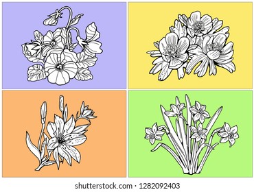 Collection of spring flowers. Art line. Pansies, lily, aconite, narcissus. Design elements for websites, postcards, bags, cards, t-shirts, patterns.