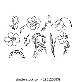 Collection of spring flowers. Isolated elements on a white background. The vector is made in the style of cartoons. Black and white palette. Suitable for the design of posters, postcards.
