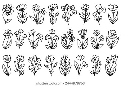 Collection spring flowers natural leaves and herbs in line style. Hand drawn line art flowers. Minimal style blossom illustration designs for logo, wedding, invitation, logo, tattoo, decorations